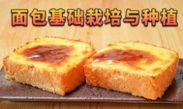 寺寺娱乐吃瓜,揭秘娱乐圈吃瓜背后的真相